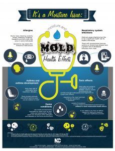 NC DHHS Moisture and Mold Health Effects Inforgraphic