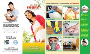 Lead and Pregnancy Brochure
