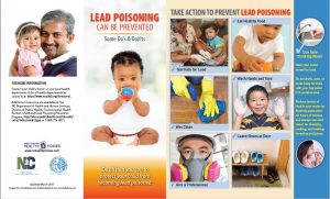 Lead and Children Brochure 