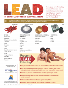 Lead in Spices factsheet