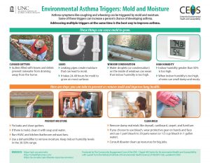 UNC CEHS environmental Asthma Triggers: Mold and Moisture factsheet English