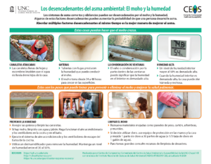 UNC CEHS environmental Asthma Triggers: Mold and Moisture factsheet Spanish