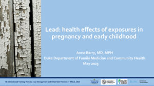 First slide of Lead: health effects of exposures in pregnancy and early childhood